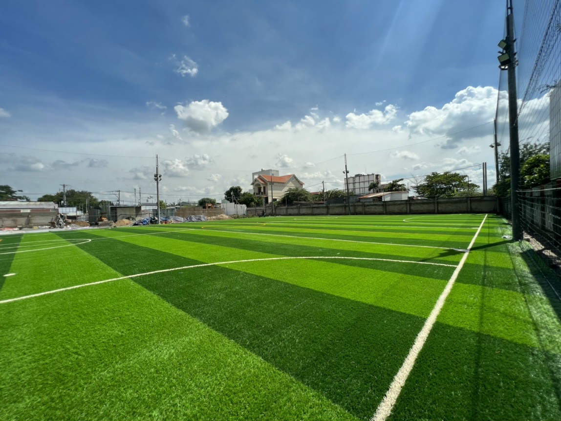 mua cỏ nhân tạo sân bóng đá đồng nai