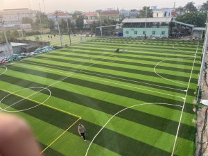 cỏ nhân tạo sân bóng đá đồng nai